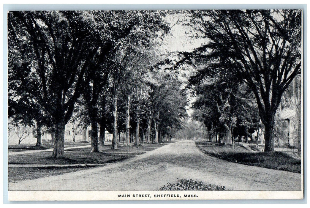 Main Street Sheffield Dirt Road Tree-lined Scene Massachusetts MA Postcard