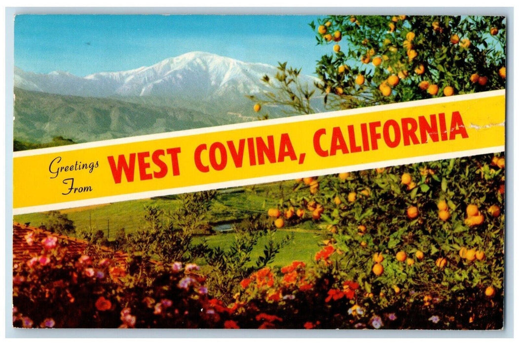 1969 Greetings Winter West Covina Orange Trees Southern California CA Postcard