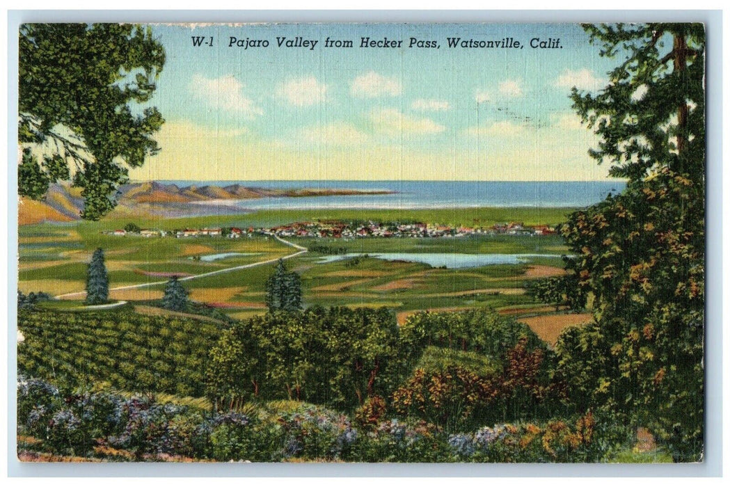 c1940 Pajaro Valley Hecker Pass Trees Field Farm Watsonville California Postcard