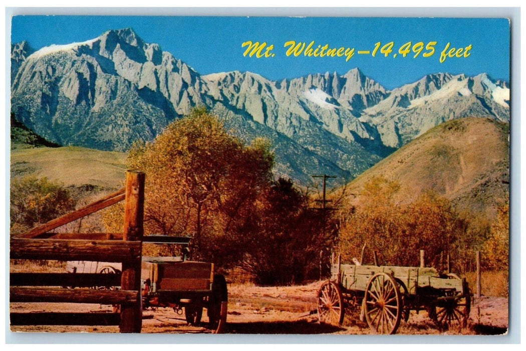 c1960 Mt. Whitney Carriage Southern California CA Mike Roberts Natural Postcard