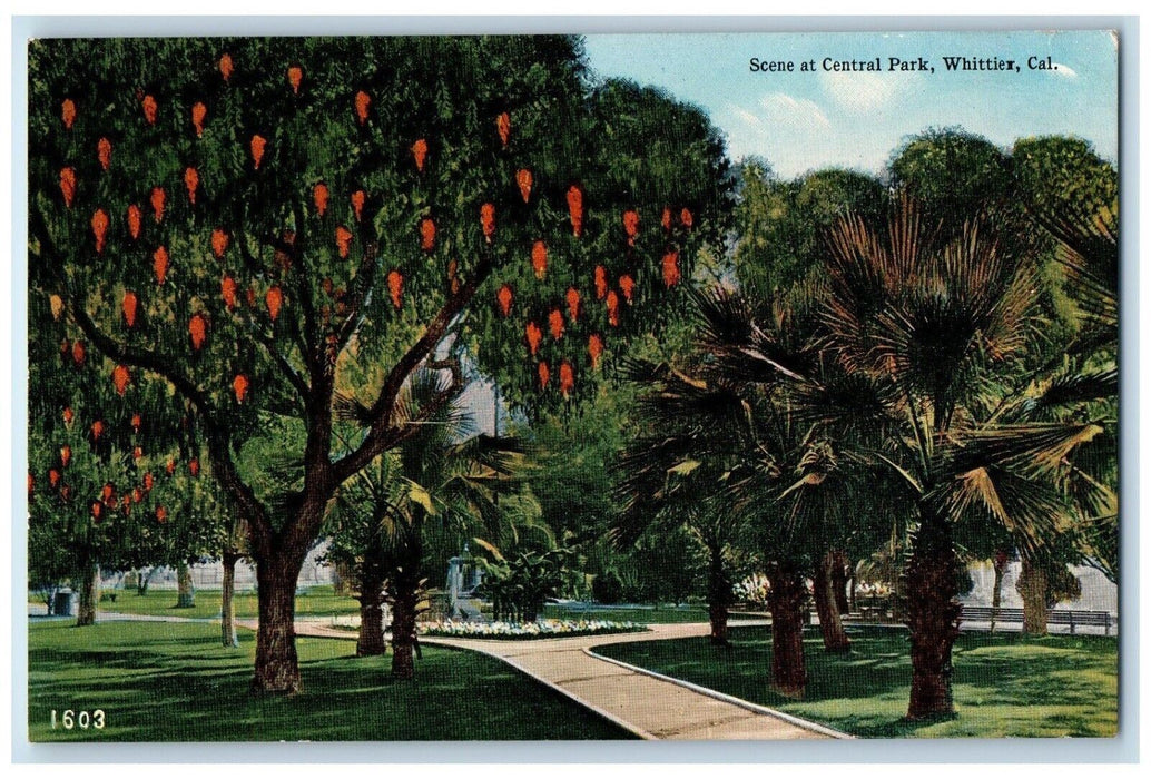 c1910 Scene Central Park Fountain Trees Pathway Whittier California CA Postcard