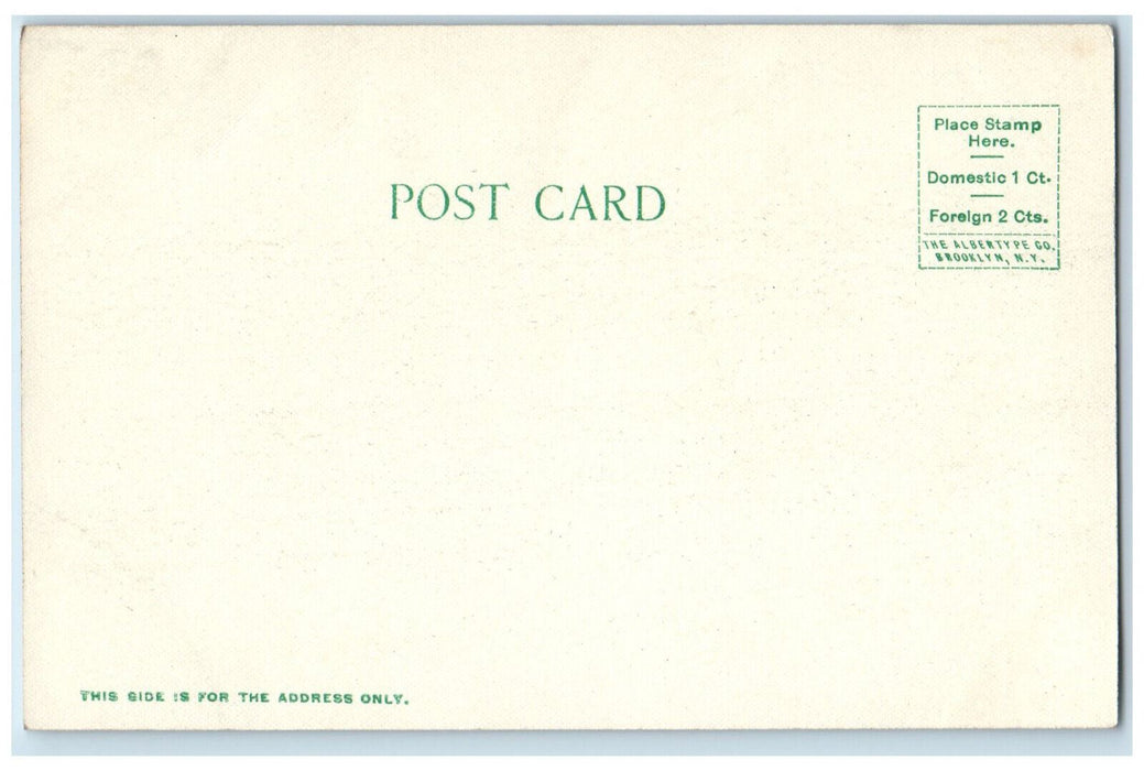 Bird's Eyer View The Dome Great Barrington Massachusetts MA Antique Postcard