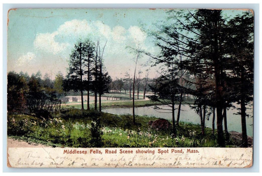 c1905 Middlesex Fells Road Scene Showing Spot Pond MA Posted Postcard