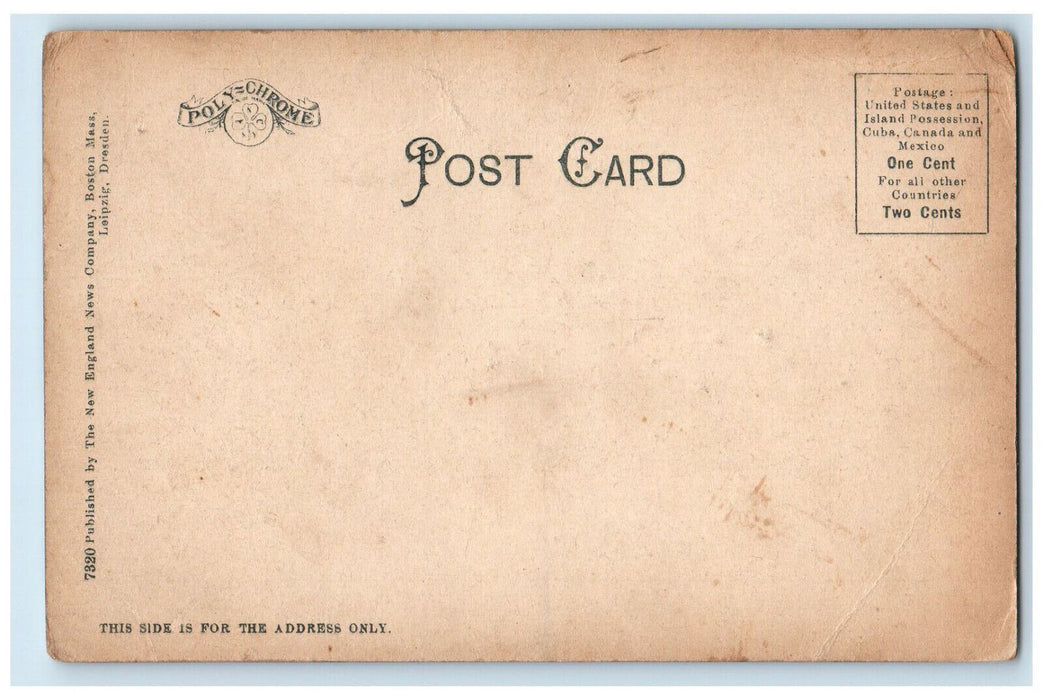 c1905 Middlesex Fells Road Scene Showing Spot Pond MA Posted Postcard