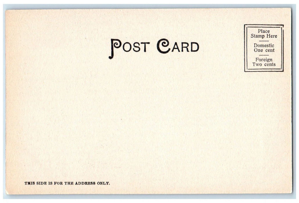 View In Forest Park Springfield Massachusetts MA, Tree-lined Dirt Road Postcard