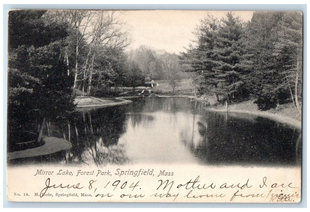 1904 Scenic View Mirror Lake Forest Park Springfield Massachusetts MA Postcard