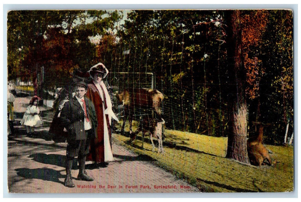 1910 Watching The Deer in Forest Park Springfield Massachusetts MA Postcard