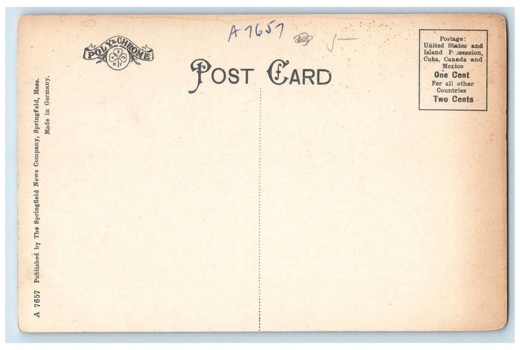 Lovers Lane Tree-lined Forest View West Springfield Massachusetts MA Postcard