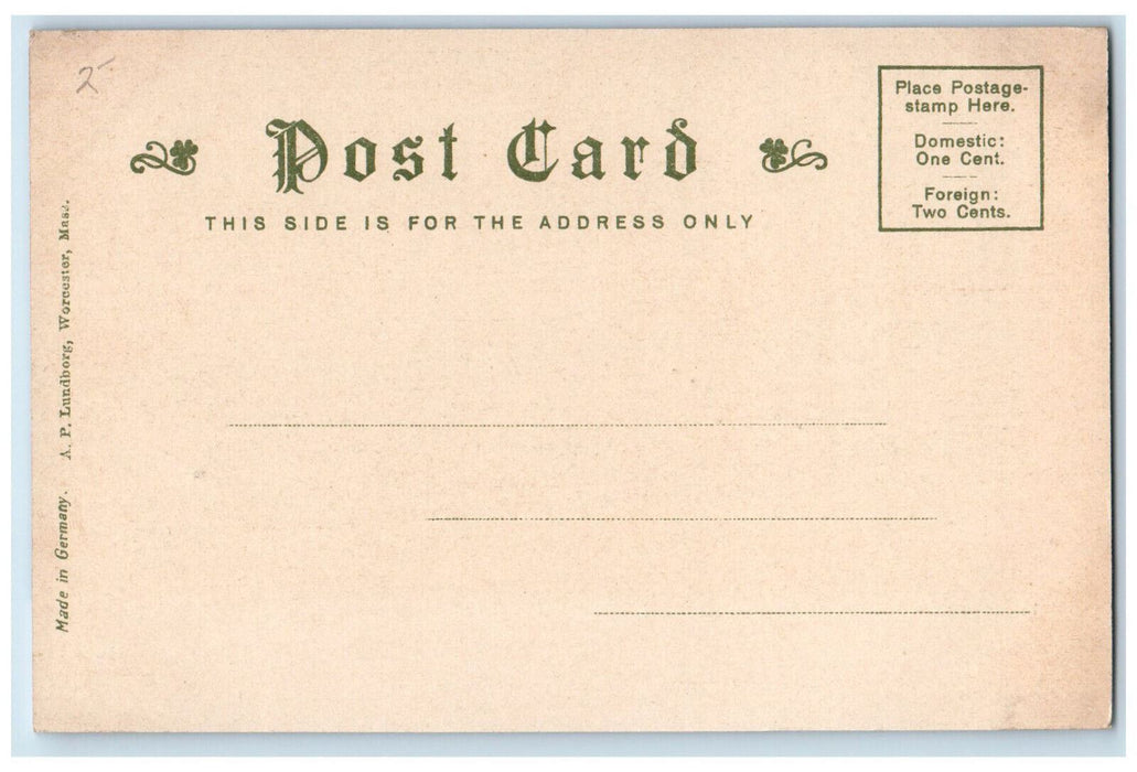 Scenic View Of Coes Pond Tree-lined Worcester Massachusetts MA Antique Postcard