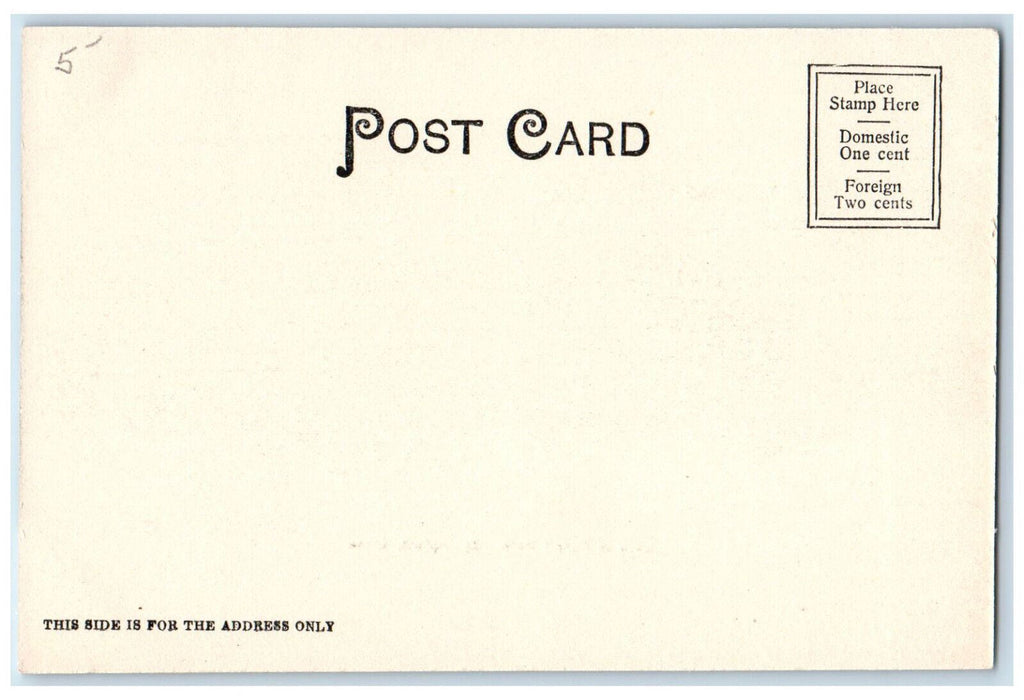 Scenic View Of Lake In Forest Park Springfield Massachusetts MA Antique Postcard