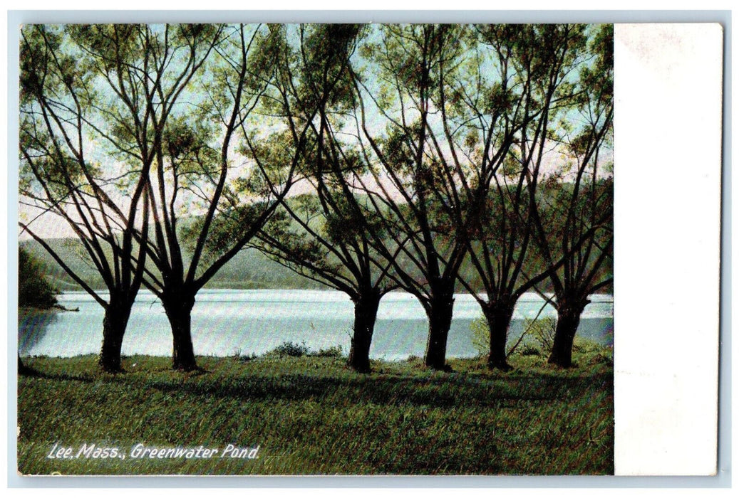 c1910 Greenwater Pond Lee Massachusetts MA Antique Unposted Postcard