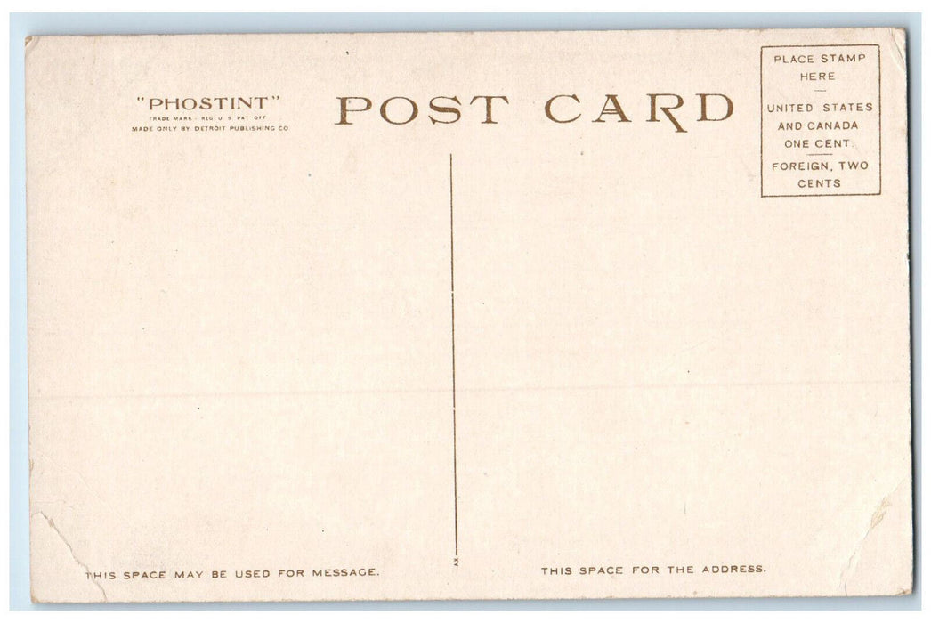 c1910 The Maplewood Entrance Pittsfield Massachusetts MA Phostint Postcard