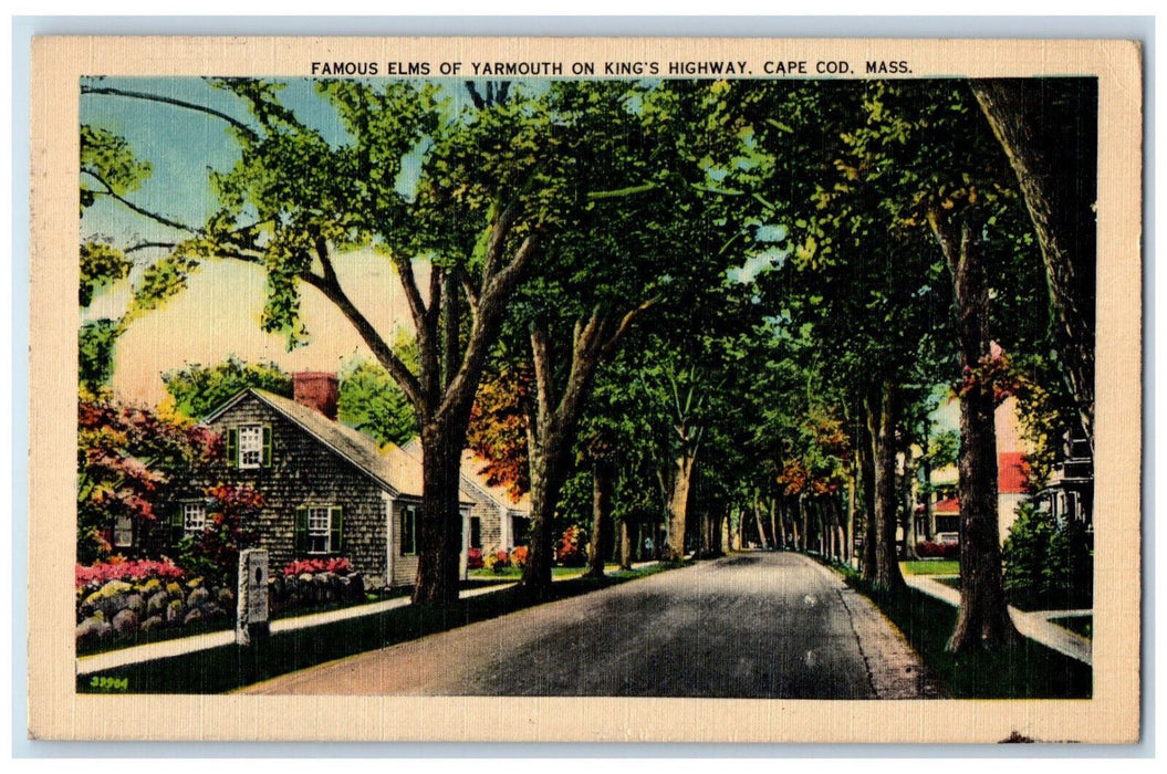 1947 Famous Elms of Yarmouth on Kings Highway Cape Cod Massachusetts MA Postcard