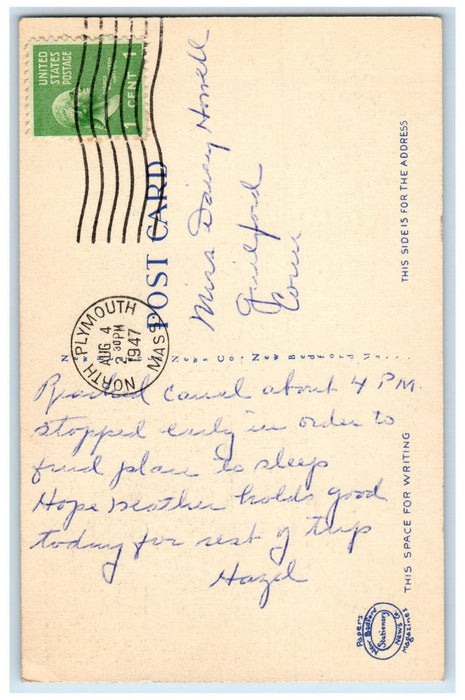 1947 Famous Elms of Yarmouth on Kings Highway Cape Cod Massachusetts MA Postcard