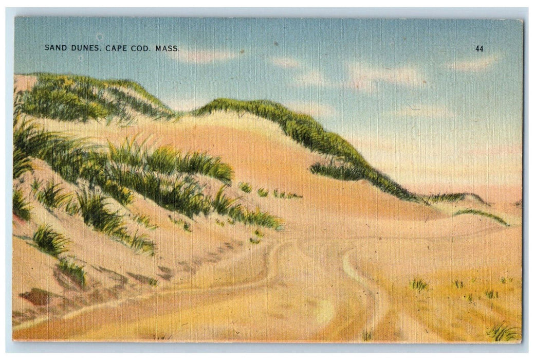 c1950's Sand Dunes Cape Cod Buzzards Bay Massachusetts MA Vintage Postcard