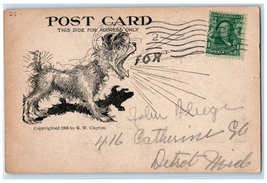 1907 Toy Poddles Dogs Studio Portrait Toledo Ohio OH Posted Antique Postcard