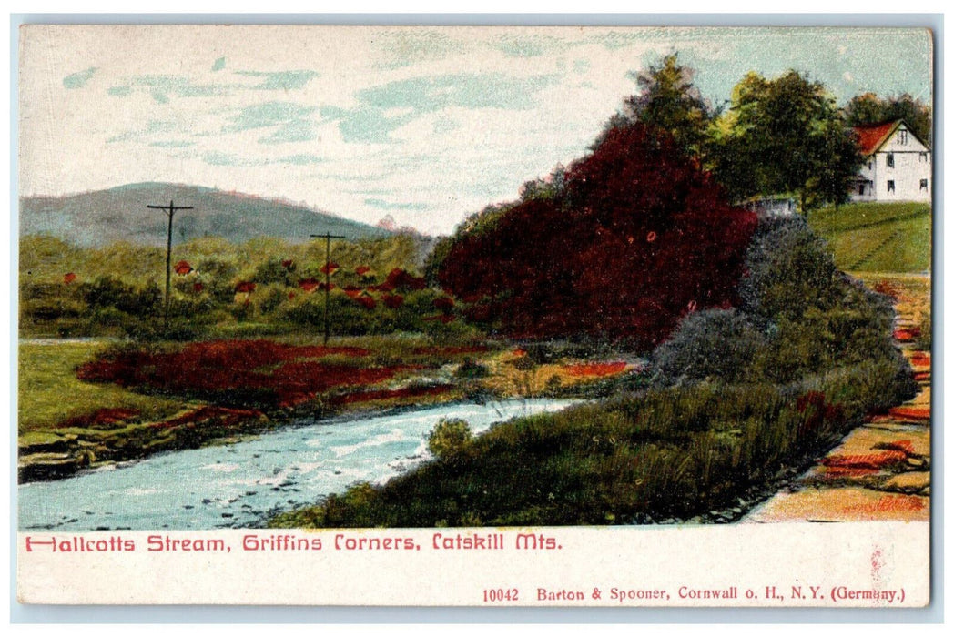 c1905 Hallcotts Stream Griffins Corners Catskill Mountains NY Postcard