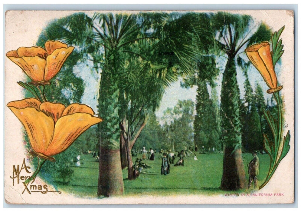 1918 Merry Christmas Winter In A California Park Flowers Los Angeles CA Postcard