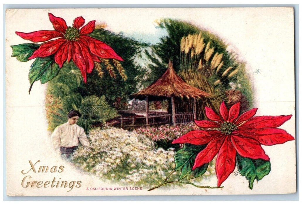 c1910's Christmas Greetings Poinsettia Flowers California Winter Scene Postcard