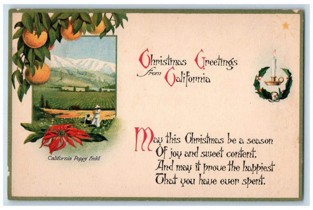 Christmas Greetings From California Poppy Field Candle Poinsettia Postcard