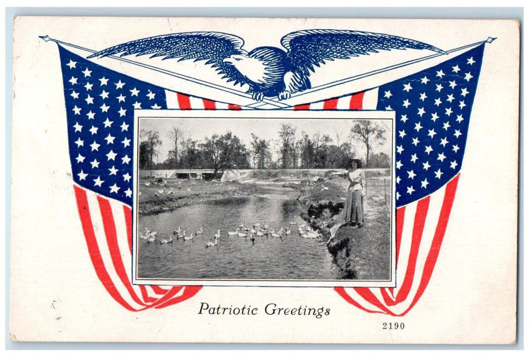 1918 Patriotic Greetings Swans Ducks Geese at River Croghan New York NY Postcard
