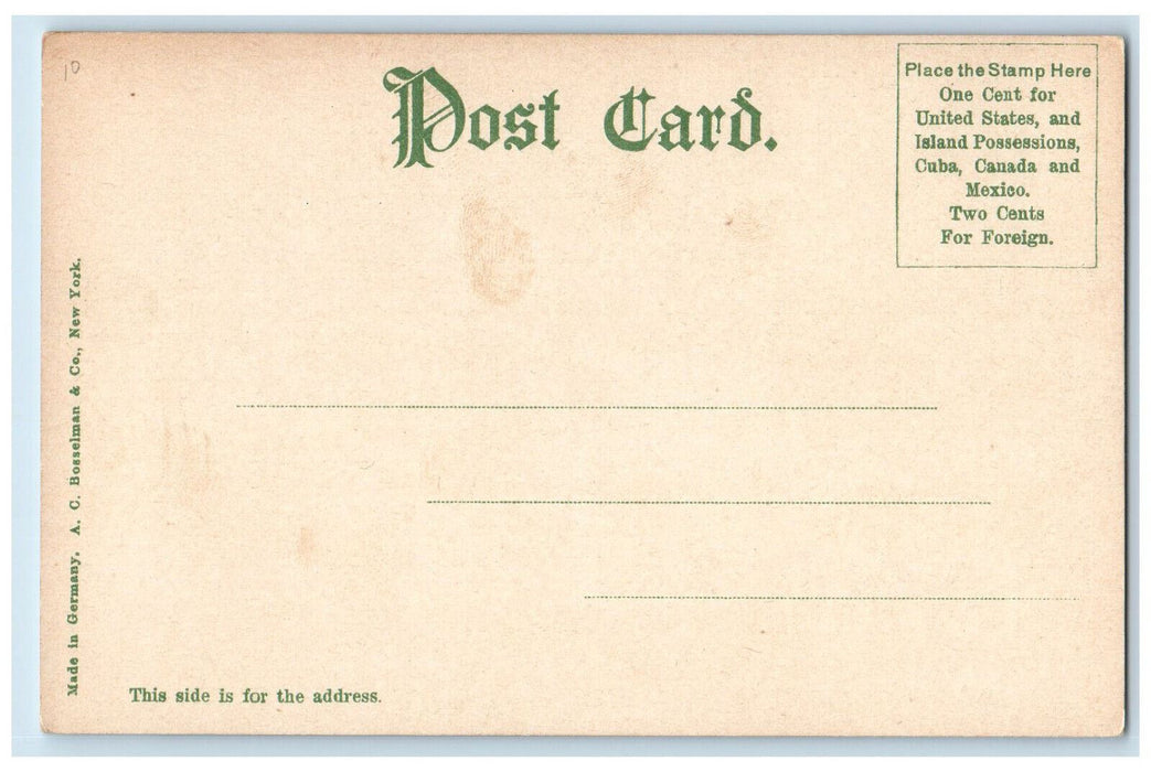 High Street Holyoke Massachusetts MA, Larkin Pianos Stores Shop ScenePostcard