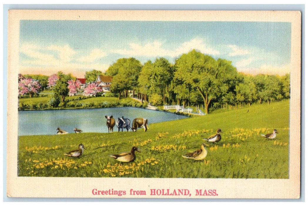 Greetings From Holland Massachusetts MA, Ducks Animals Farm Scene Postcard