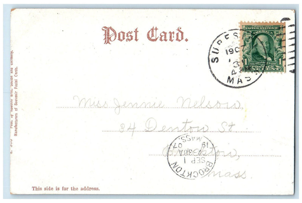 1907 Greetings From Nantasket Beach Massachusetts MA, Big Letter Flower Postcard
