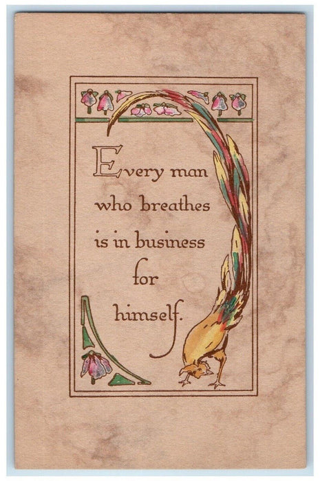 c1910's Raymond Howe Motto Peacock Flowers Arts Crafts Unposted Antique Postcard