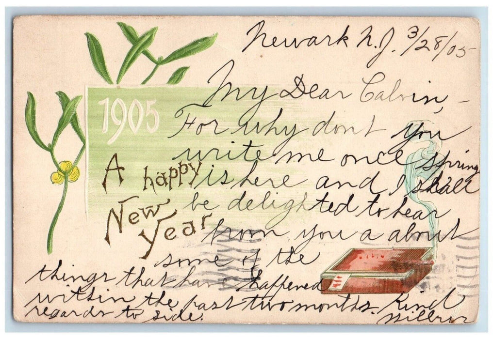 1905 Happy New Year Berries Embossed Newark New York NY Antique Postcard