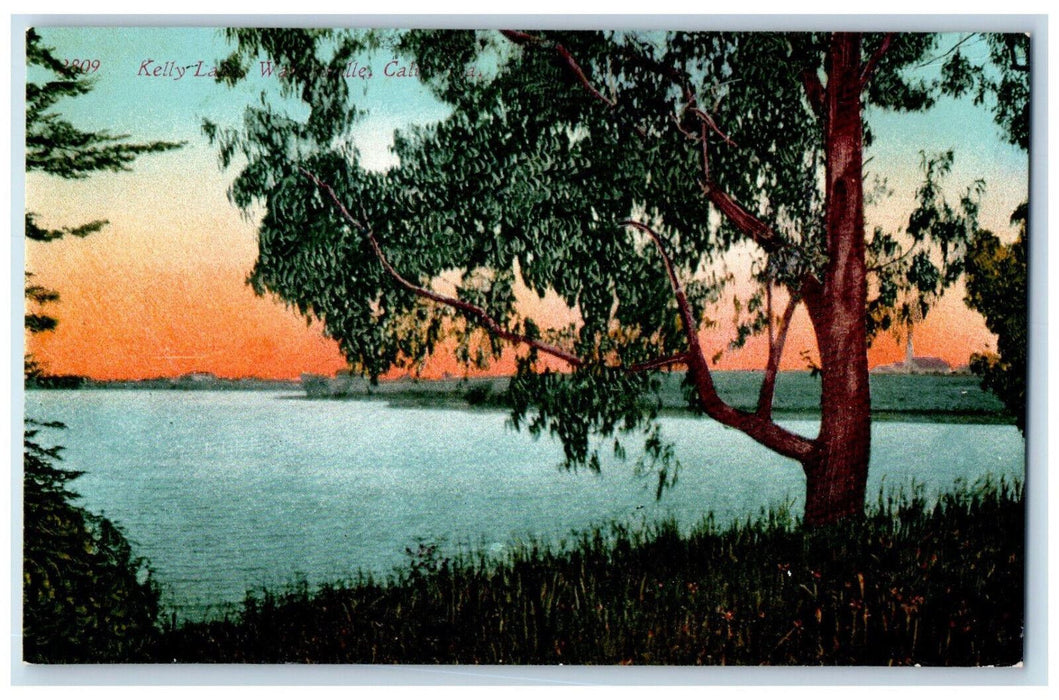 Scenic View Of Kelly Lake Watsonville California CA Vintage Unposted Postcard