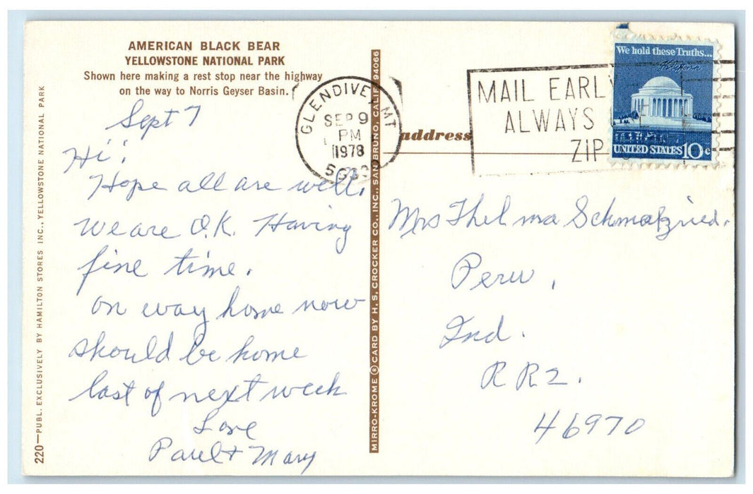 1978 American Black Bear Yellowstone Park WY, Glendive MT Vintage Postcard