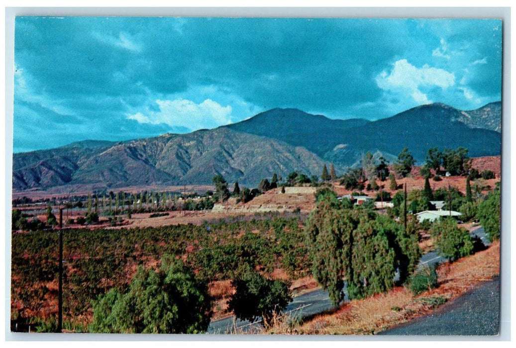 San Bernardino Peak Viewed From Flagg Hill At Yucaipa California CA Postcard