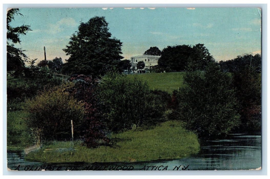 1912 A Glimpse of Maplewood Attica New York NY Antique Posted Postcard