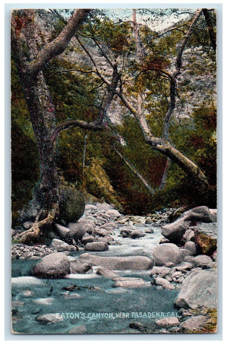 Scenic View Of Eaton's Canyon Near Pasadena California CA Vintage Postcard