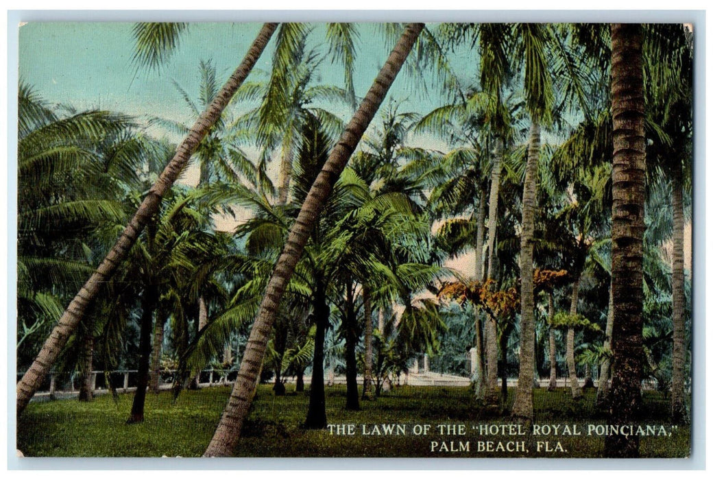 c1910 The Lawn of the "Hotel Royal Poinciana" Palm Beach Florida FL Postcard