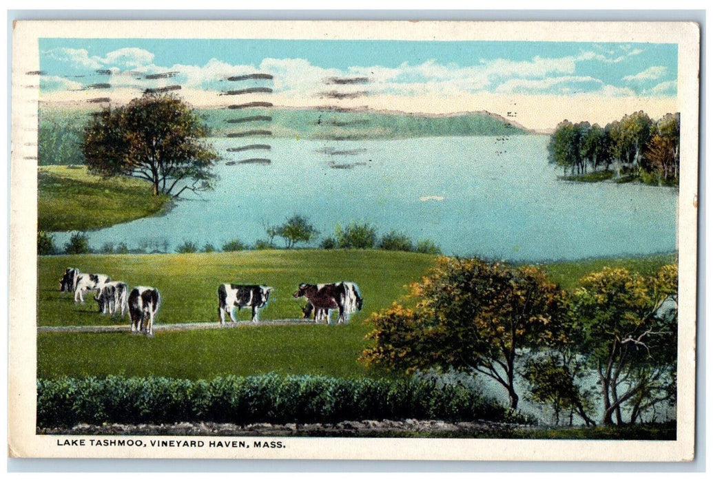 1925 Lake Tashmoo Vineyard Haven Massachusetts MA Antique Posted Postcard