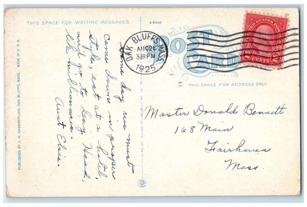 1925 Lake Tashmoo Vineyard Haven Massachusetts MA Antique Posted Postcard