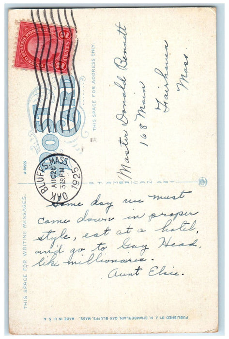 1925 Lake Tashmoo Vineyard Haven Massachusetts MA Antique Posted Postcard