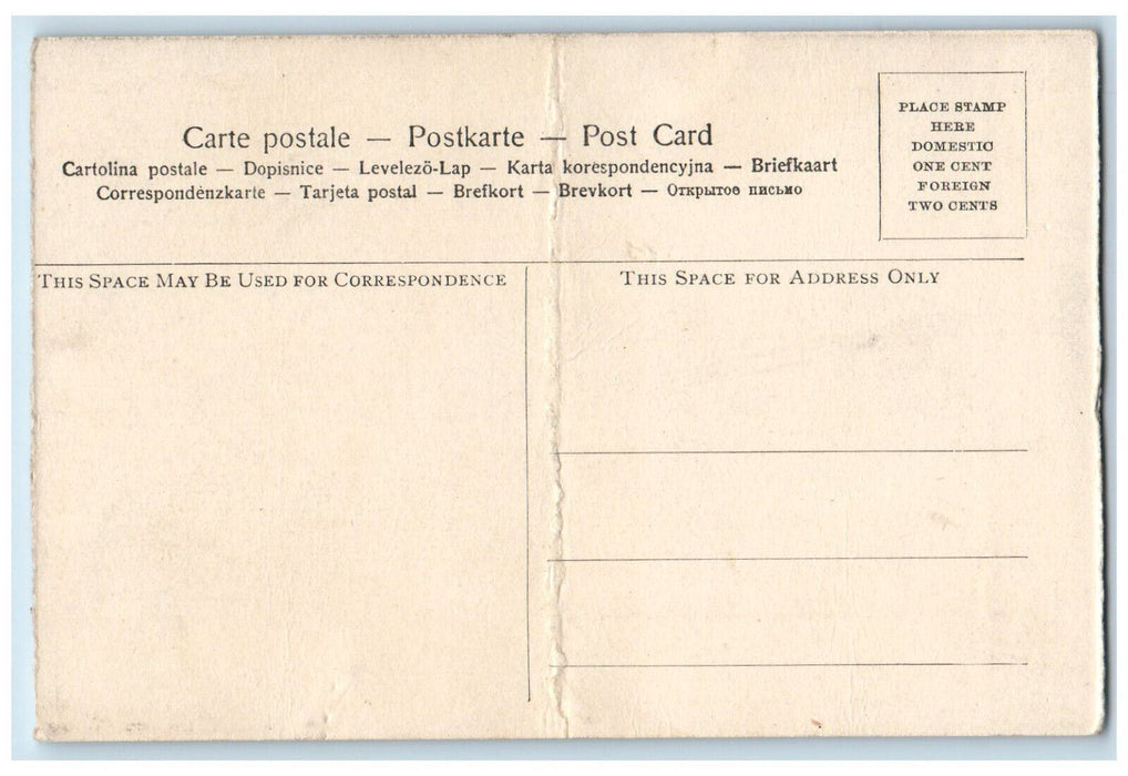 c1910 Rock Mineral Springs Emlenton Pennsylvania PA Antique Unposted Postcard