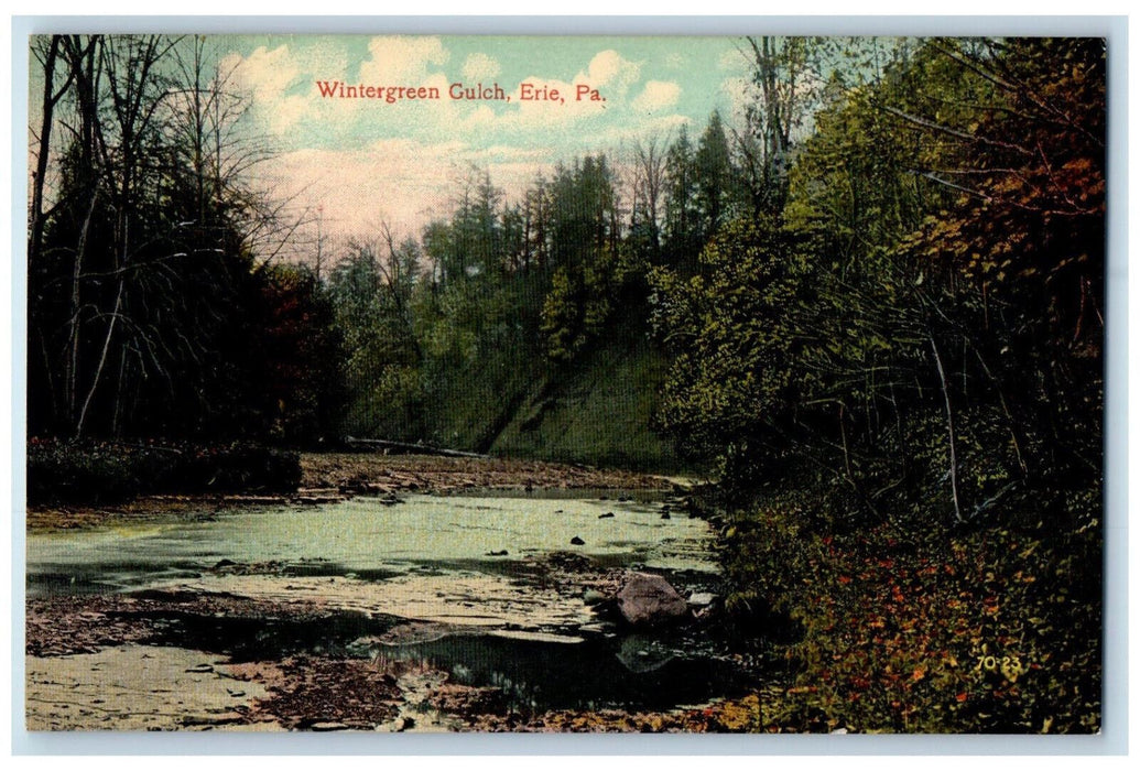 c1910 Wintergreen Gulch Erie Pennsylvania PA Antique Unposted Postcard