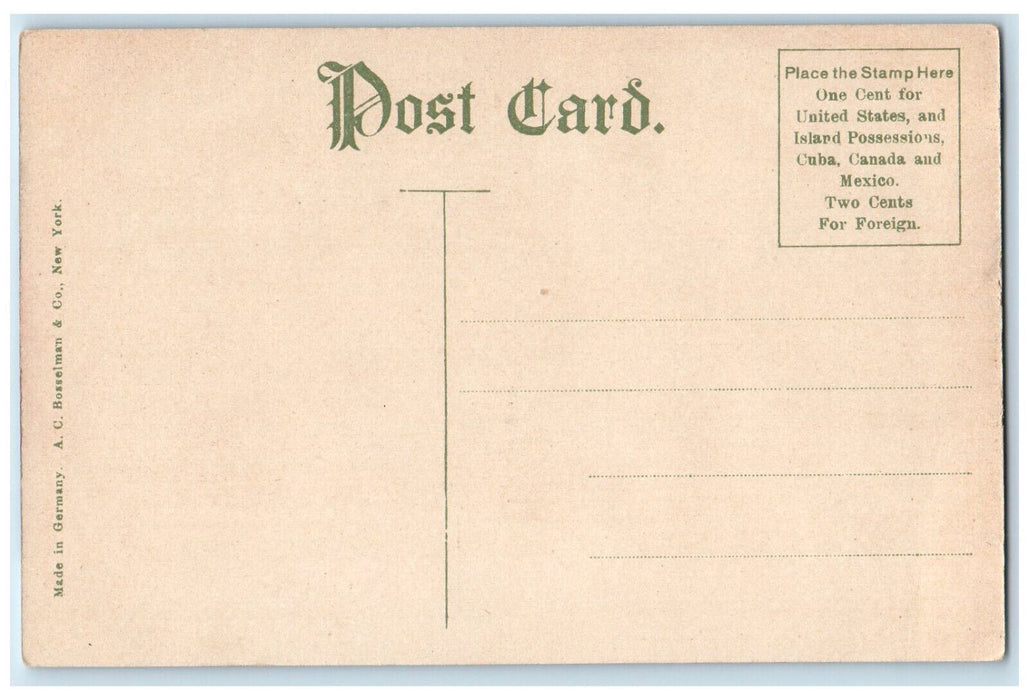 Pantlind Hotel Grand Rapids Michigan MI, Old National Bank View Vintage Postcard