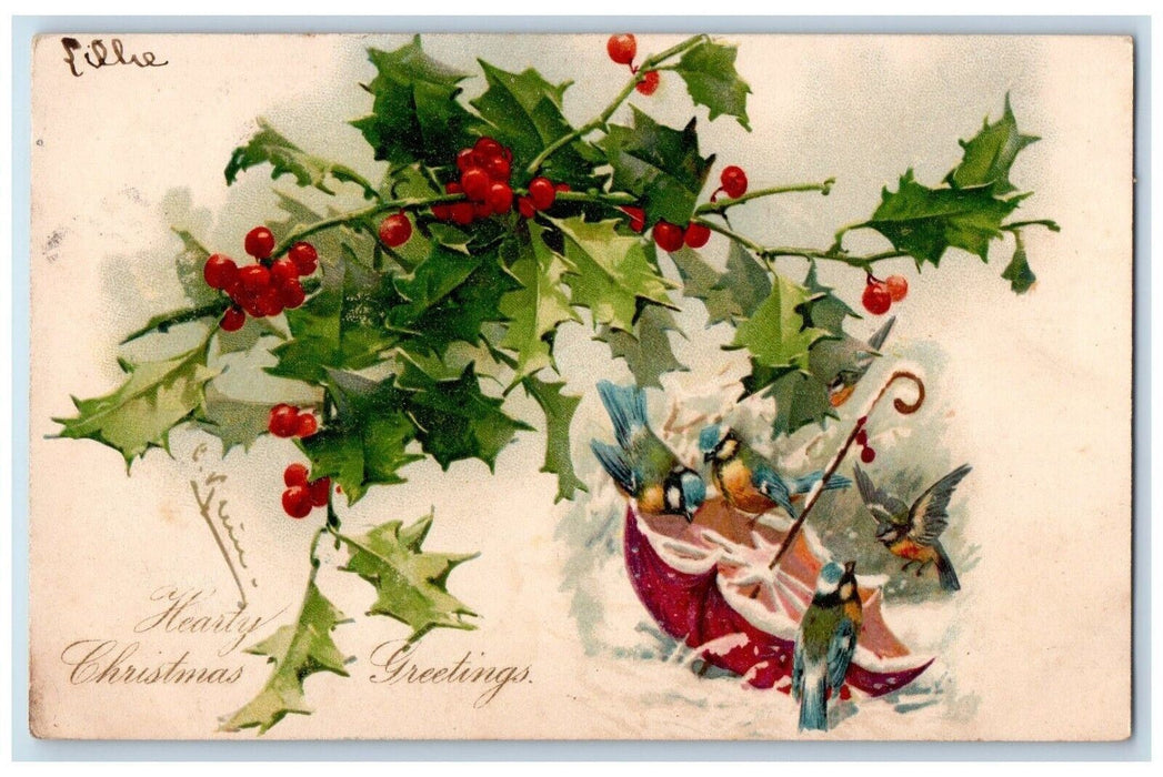 c1905 Christmas Greetings Holly Berries Song Birds Winter Snow Nash Postcard