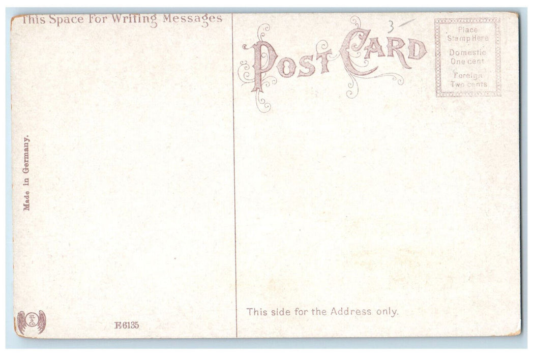 c1910 The Standish Worcester Massachusetts MA Antique Unposted Postcard