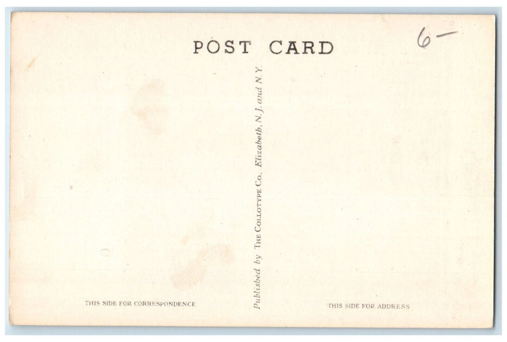 c1940's Apple Valley Little Switzerland Ashfield Massachusetts MA Postcard