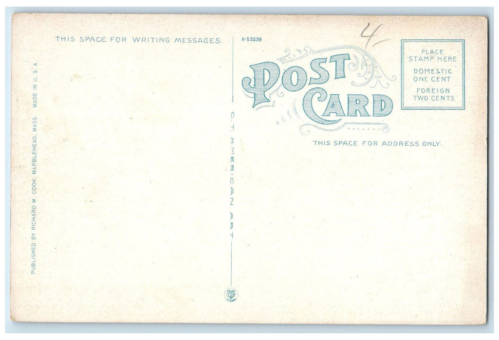 c1920's View on Ocean Side Showing Questenmere Marblehead Neck MA Postcard