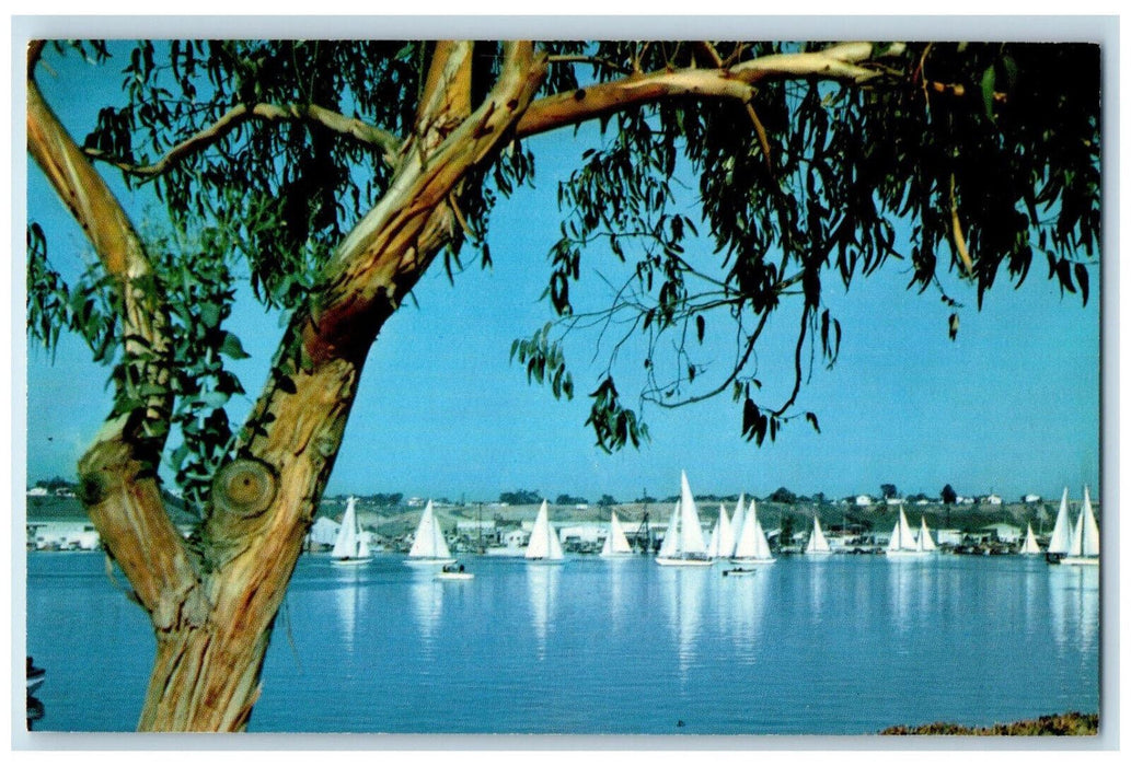 c1950's Lido Isle Sailing Boats Lido Isle Newport Harbor California CA Postcard