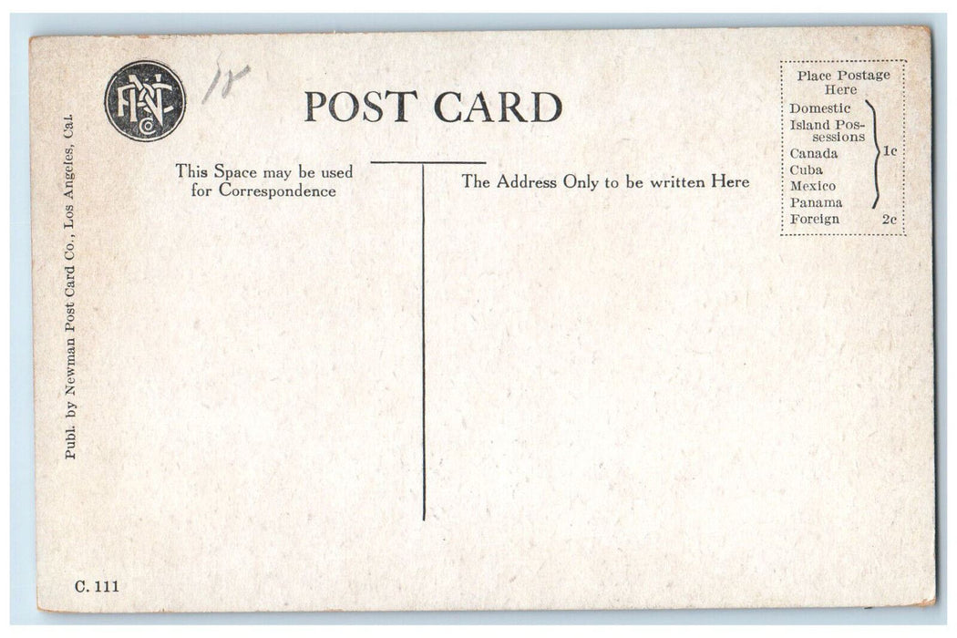 c1910 Foot of Mt. Wilson Trail California CA Unposted Antique Postcard