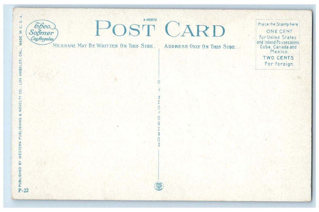 c1910 The Climb from Eaton's Canyon Auto Road To Mt. Wilson CA Postcard