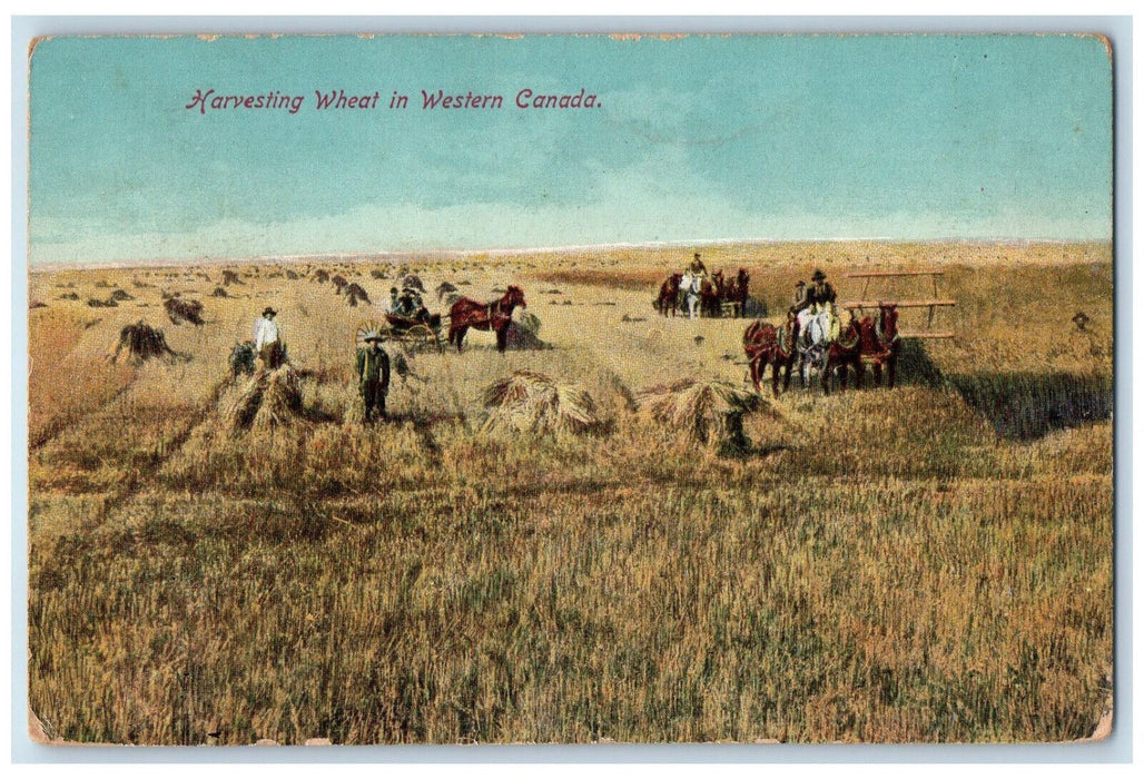 Harvesting Wheat In Western Ontario Canada, Farmer Farmland Scene Postcard